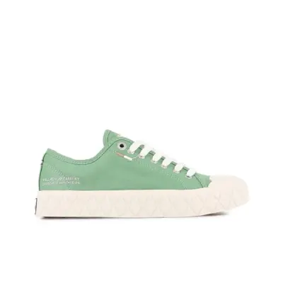 PALLADIUM ACE CVS ORG | B